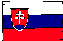 sk_flag